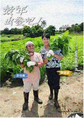 87影院术语与清单手账对页